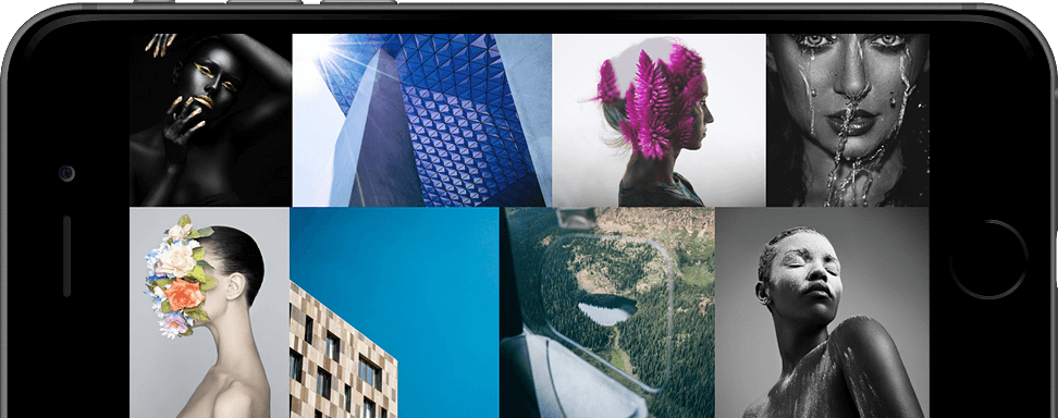 Image module